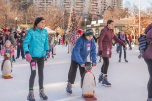 Ice Skating Rink Open until March