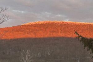 November 2025 Newsletter and Agenda